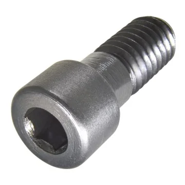 Cartridge Screw for SBT-CC.. 0602../09T3../1204..