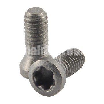 Torx-Schraube I60M4x8,4 T15 | Rinaldi‑Tools